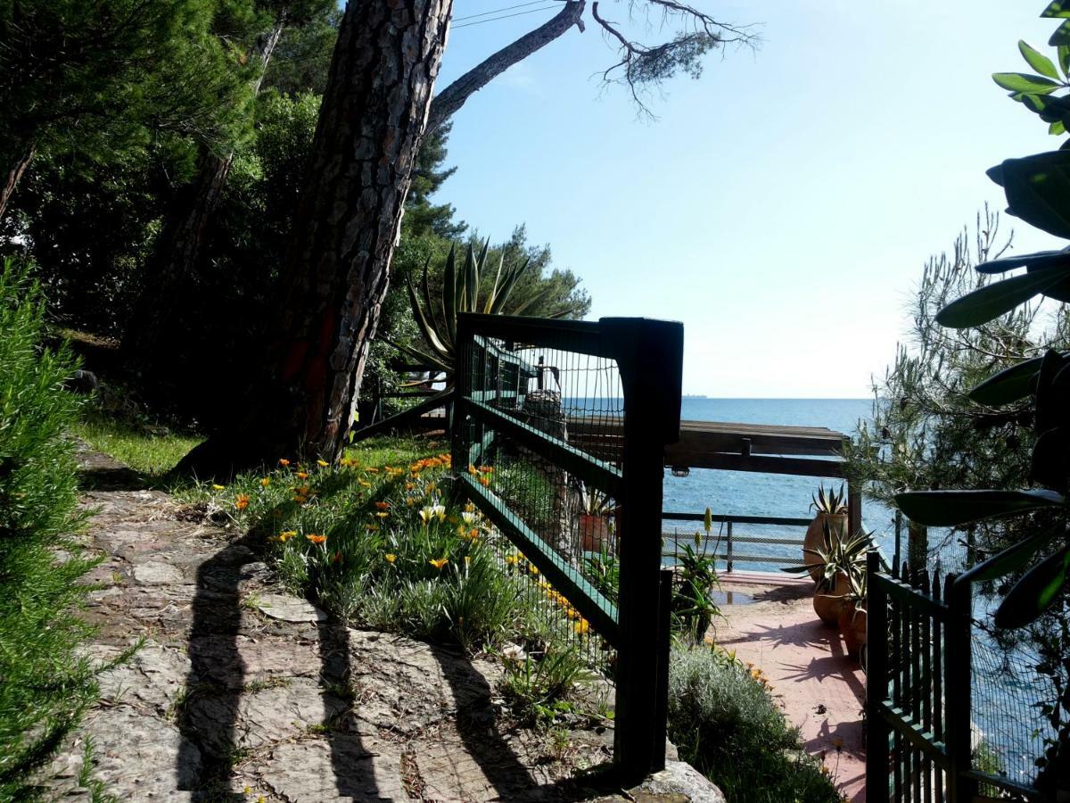 Tregia