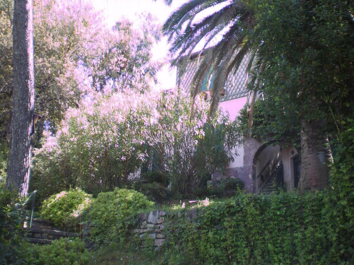 Tregia *