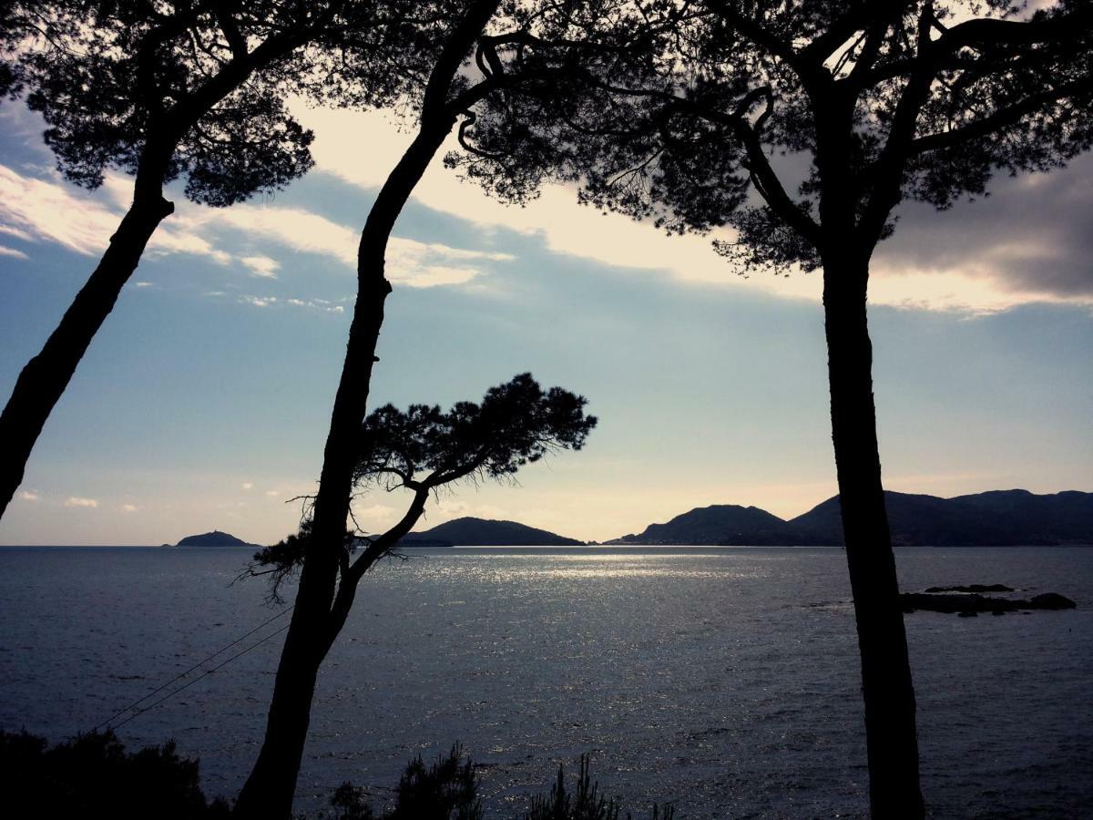 Tregia Tellaro