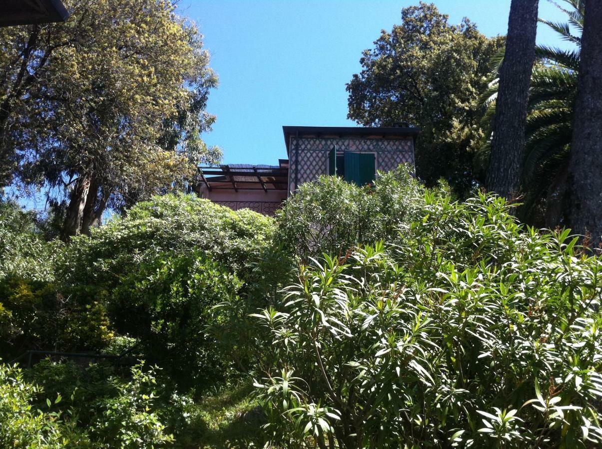Tregia Tellaro