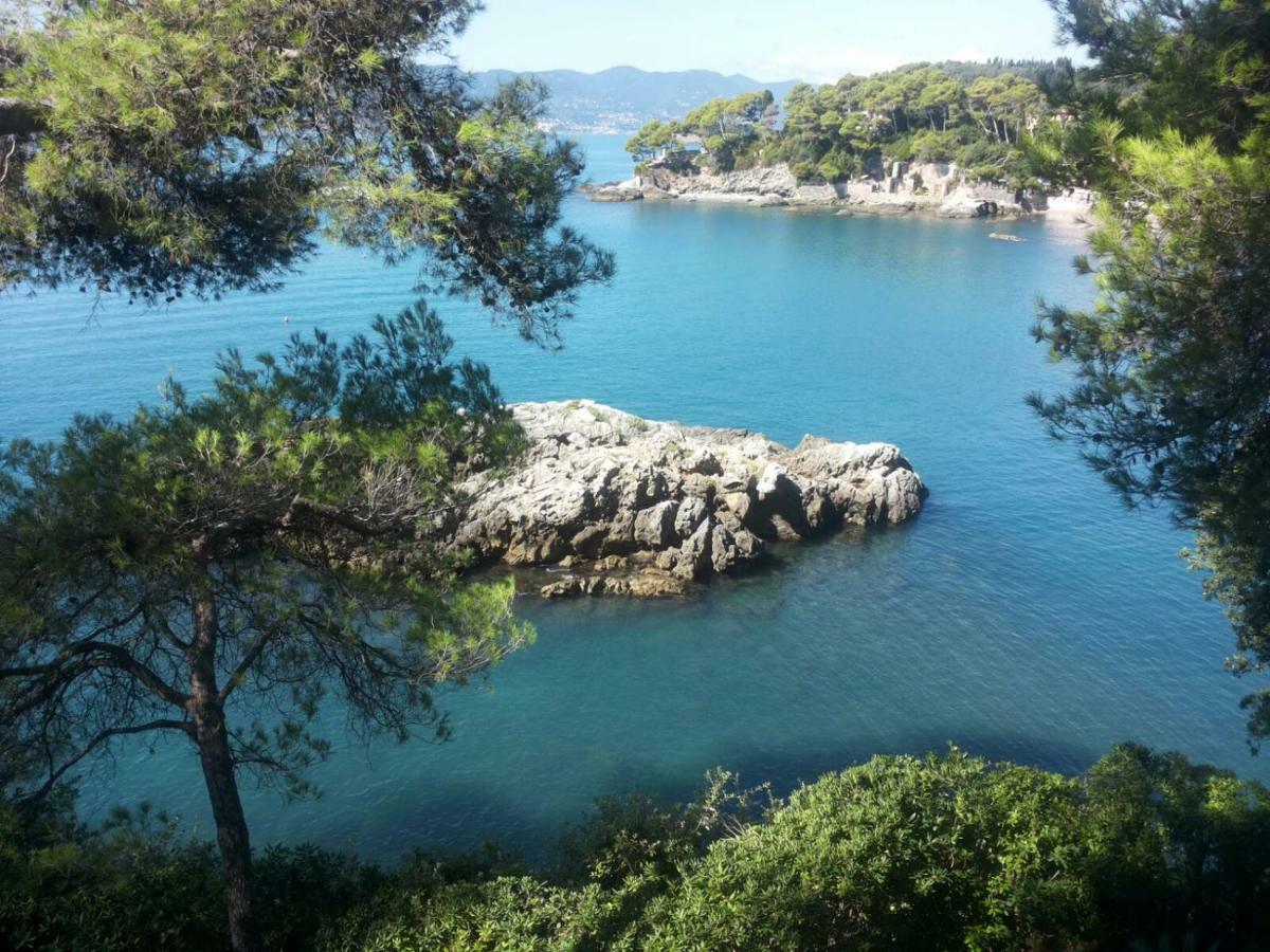Tregia Tellaro
